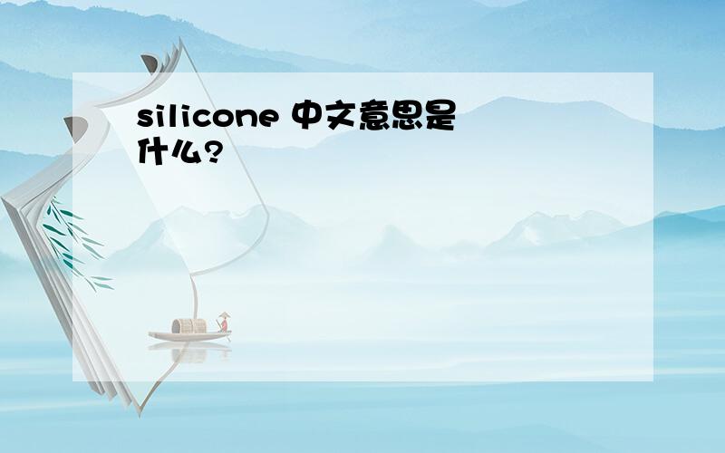 silicone 中文意思是什么?