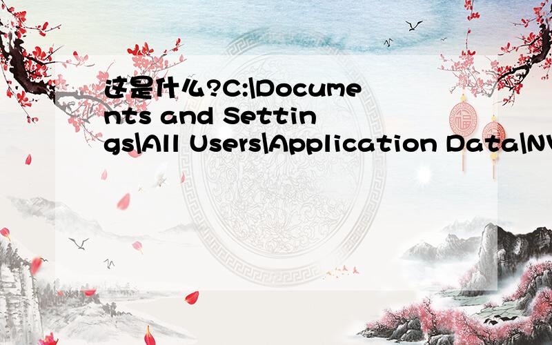 这是什么?C:\Documents and Settings\All Users\Application Data\NV