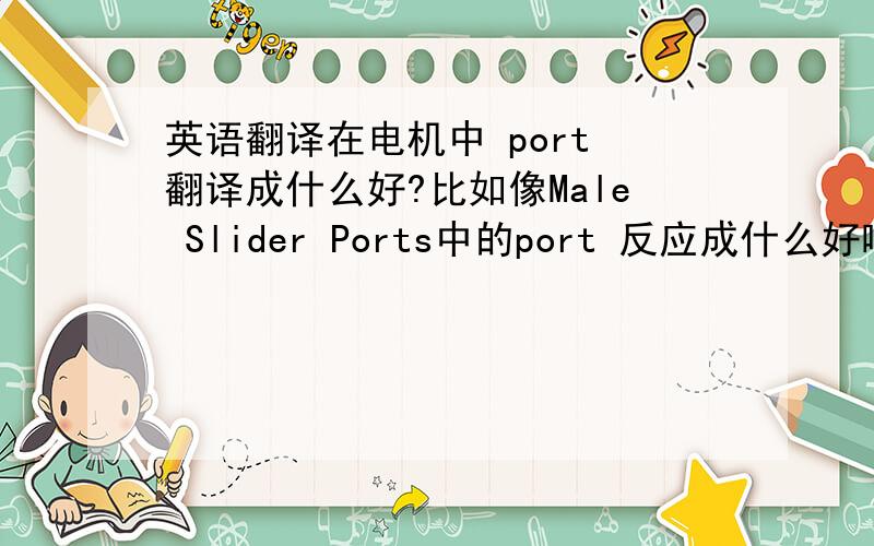 英语翻译在电机中 port 翻译成什么好?比如像Male Slider Ports中的port 反应成什么好啊?