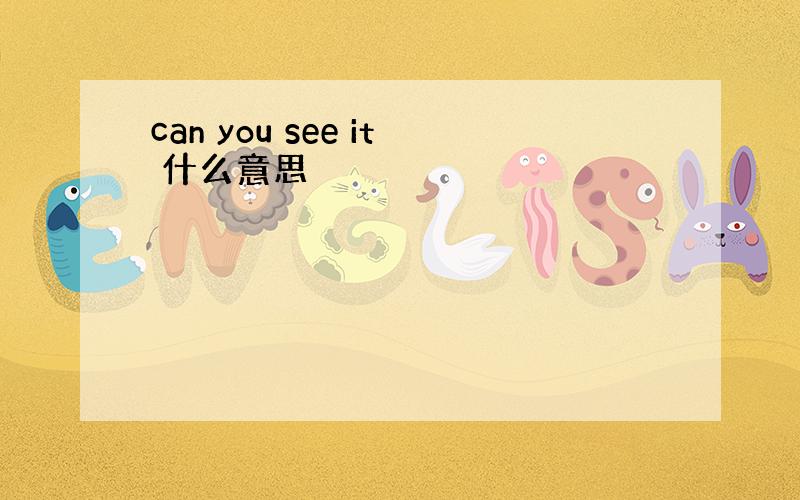 can you see it 什么意思