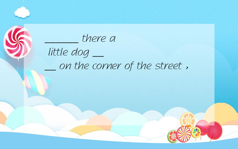 ______ there a little dog ____ on the corner of the street ,