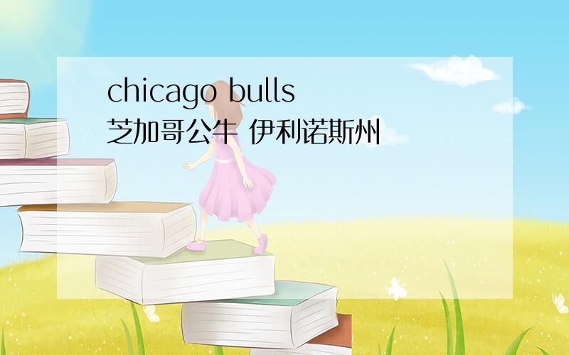 chicago bulls 芝加哥公牛 伊利诺斯州