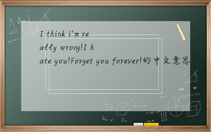 I think i'm really wrong!I hate you!Forget you forever!的中文意思