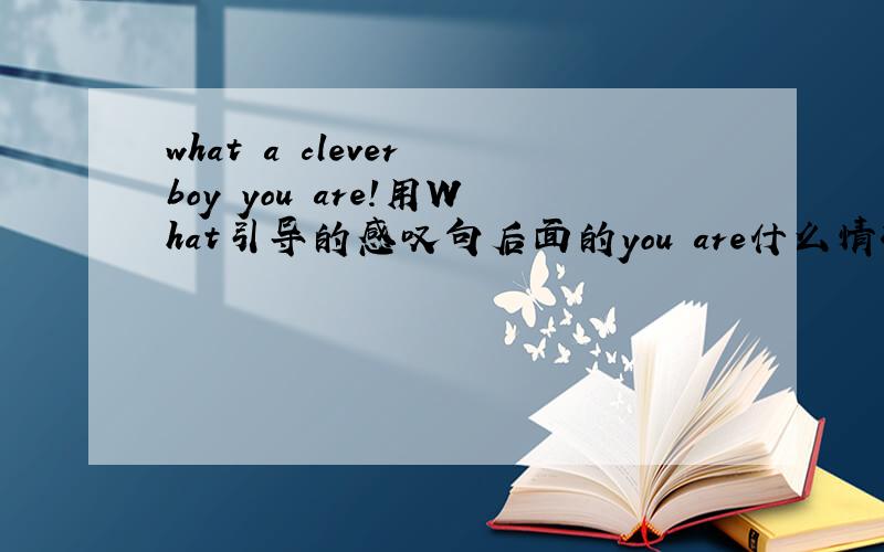 what a clever boy you are!用What引导的感叹句后面的you are什么情况下可省?什么情下不