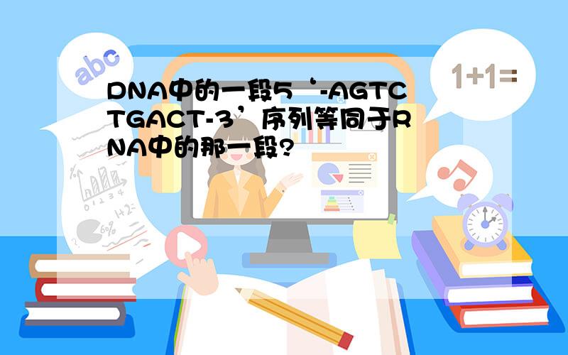 DNA中的一段5‘-AGTCTGACT-3’序列等同于RNA中的那一段?