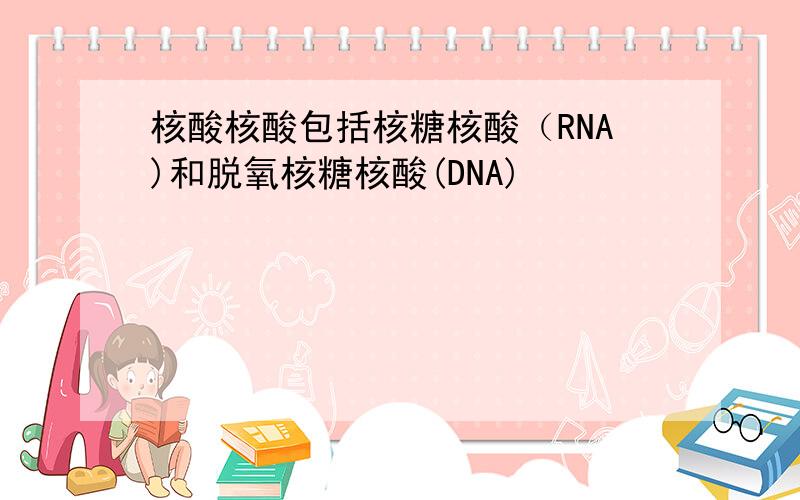 核酸核酸包括核糖核酸（RNA)和脱氧核糖核酸(DNA)