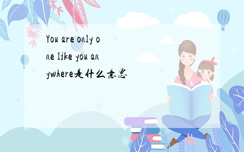 You are only one like you anywhere是什么意思