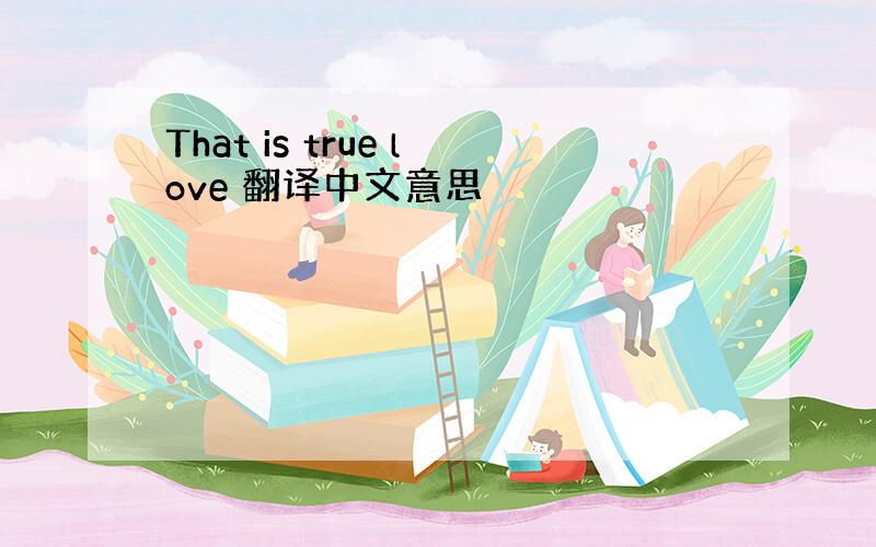 That is true love 翻译中文意思
