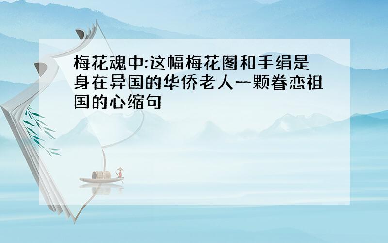 梅花魂中:这幅梅花图和手绢是身在异国的华侨老人一颗眷恋祖国的心缩句