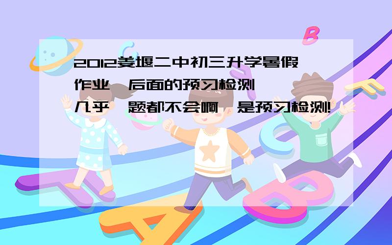 2012姜堰二中初三升学暑假作业,后面的预习检测,呃……几乎一题都不会啊,是预习检测!