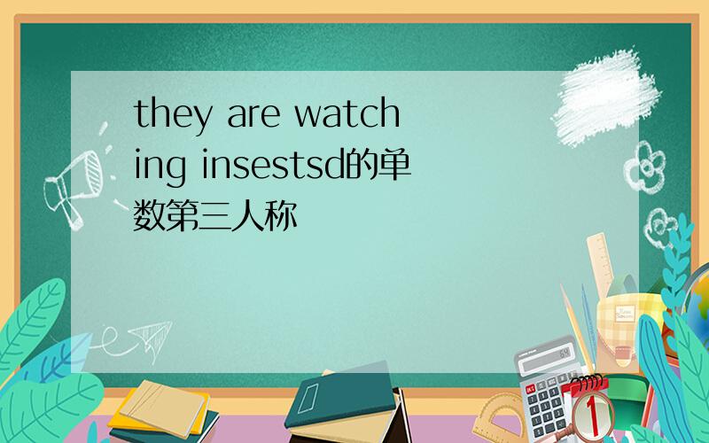 they are watching insestsd的单数第三人称
