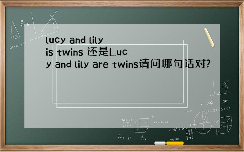 lucy and lily is twins 还是Lucy and lily are twins请问哪句话对?
