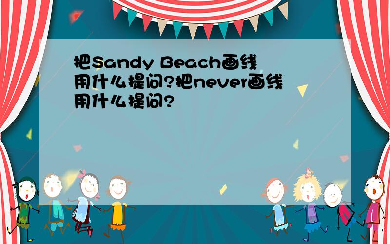 把Sandy Beach画线用什么提问?把never画线用什么提问?