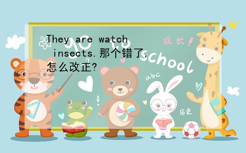 They are watch insects.那个错了,怎么改正?