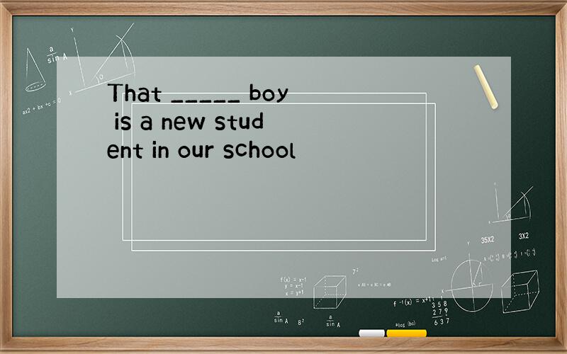 That _____ boy is a new student in our school