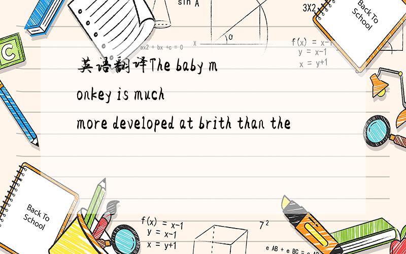 英语翻译The baby monkey is much more developed at brith than the