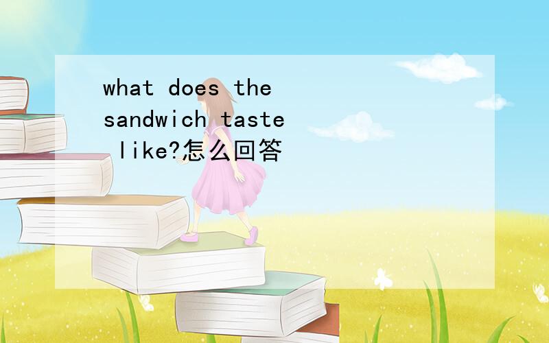 what does the sandwich taste like?怎么回答