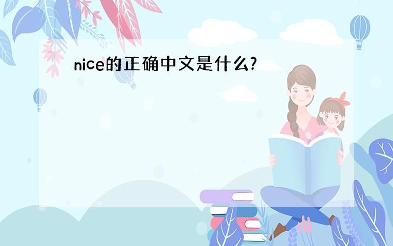nice的正确中文是什么?