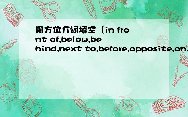 用方位介词填空（in front of,below,behind,next to,before,opposite,on,