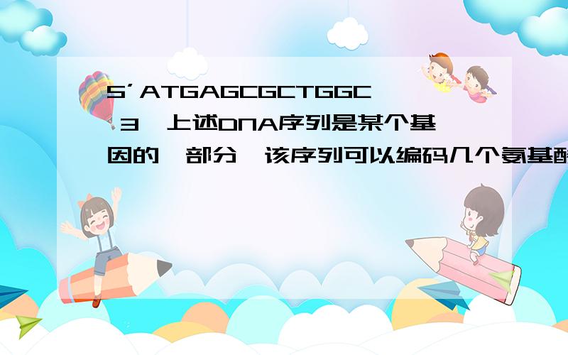 5’ATGAGCGCTGGC 3'上述DNA序列是某个基因的一部分,该序列可以编码几个氨基酸