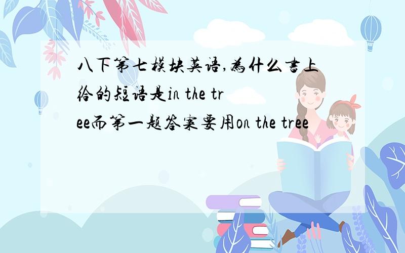 八下第七模块英语,为什么书上给的短语是in the tree而第一题答案要用on the tree