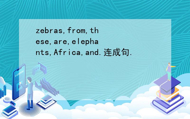 zebras,from,these,are,elephants,Africa,and.连成句.