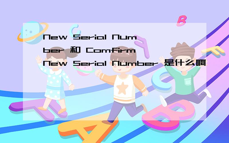 New Serial Number 和 Comfirm New Serial Number 是什么啊