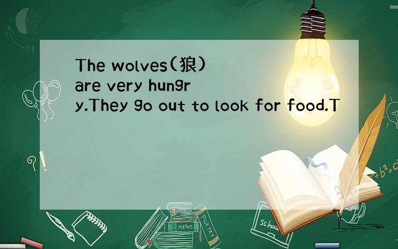 The wolves(狼) are very hungry.They go out to look for food.T
