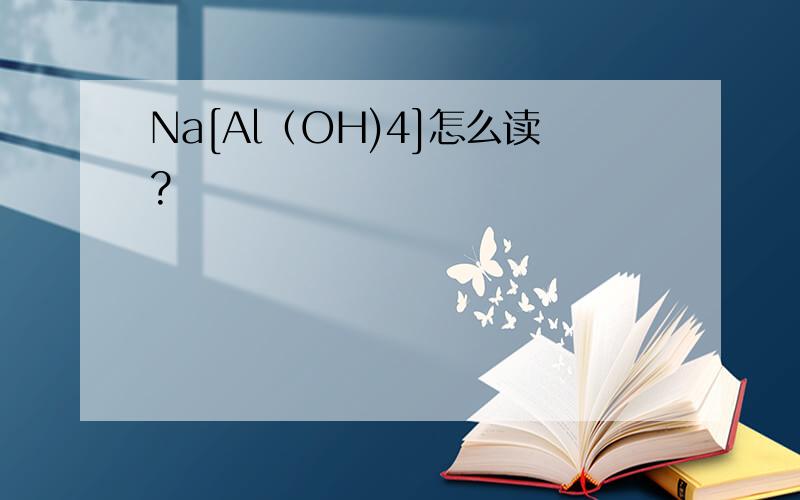 Na[Al（OH)4]怎么读?