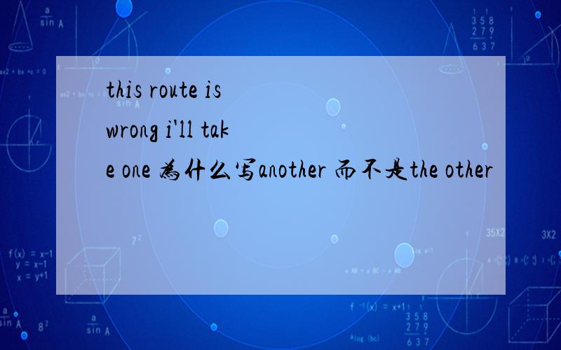 this route is wrong i'll take one 为什么写another 而不是the other