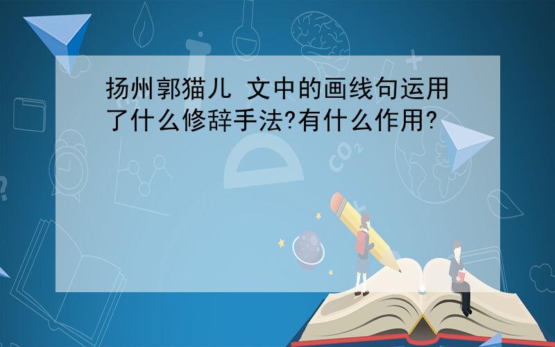 扬州郭猫儿 文中的画线句运用了什么修辞手法?有什么作用?