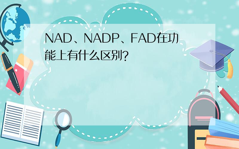 NAD、NADP、FAD在功能上有什么区别?