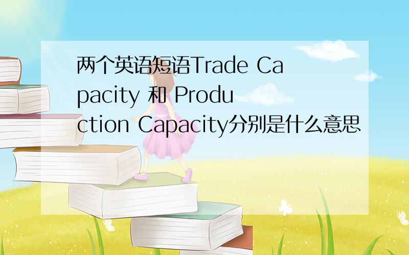 两个英语短语Trade Capacity 和 Production Capacity分别是什么意思