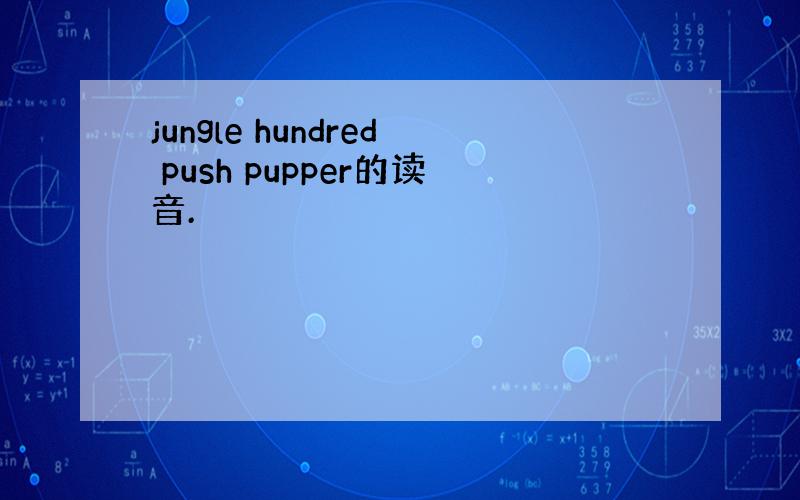 jungle hundred push pupper的读音.