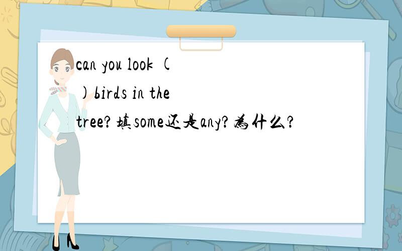 can you look ()birds in the tree?填some还是any?为什么?