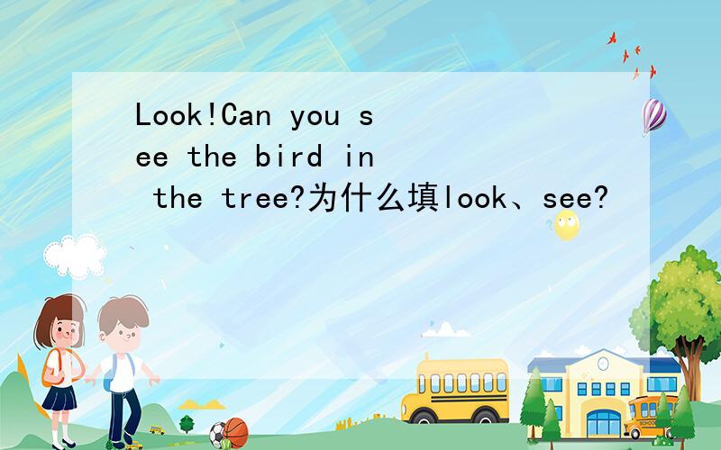 Look!Can you see the bird in the tree?为什么填look、see?