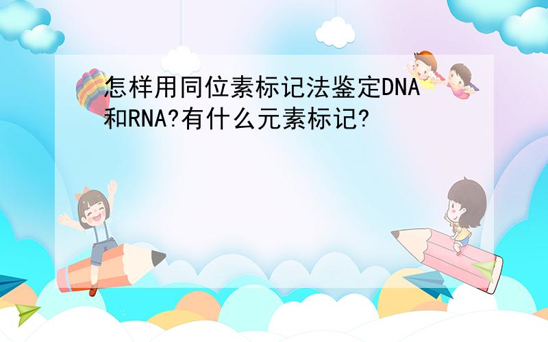 怎样用同位素标记法鉴定DNA和RNA?有什么元素标记?
