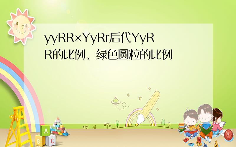 yyRR×YyRr后代YyRR的比例、绿色圆粒的比例