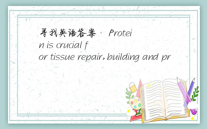 寻找英语答案· Protein is crucial for tissue repair,building and pr