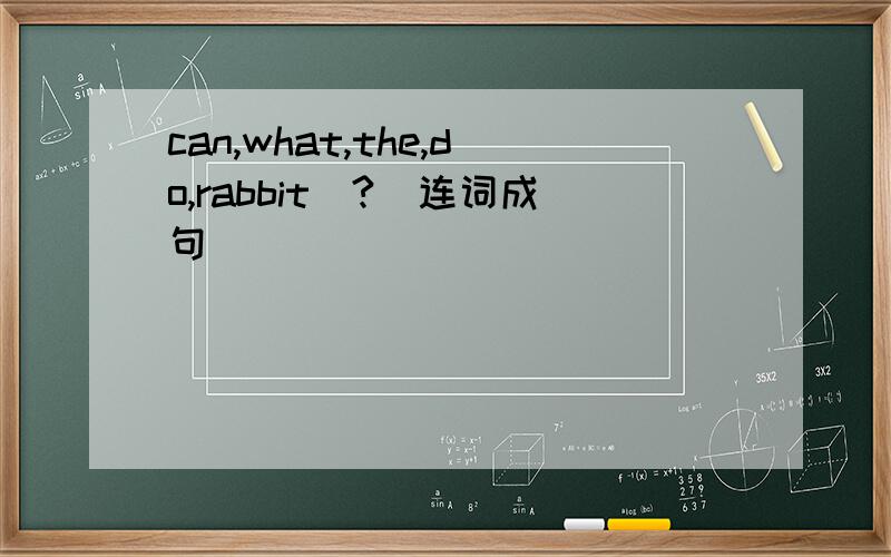 can,what,the,do,rabbit（?）连词成句