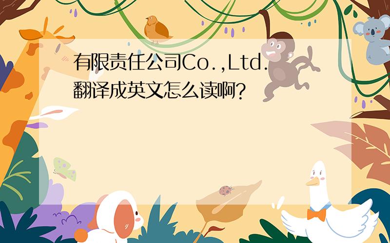 有限责任公司Co.,Ltd.翻译成英文怎么读啊?