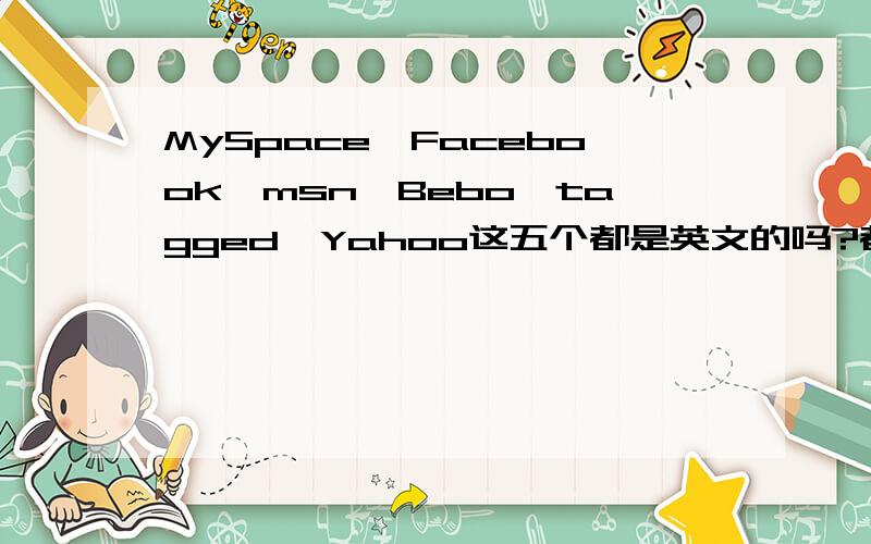 MySpace、Facebook、msn、Bebo、tagged、Yahoo这五个都是英文的吗?都有中文版吗?