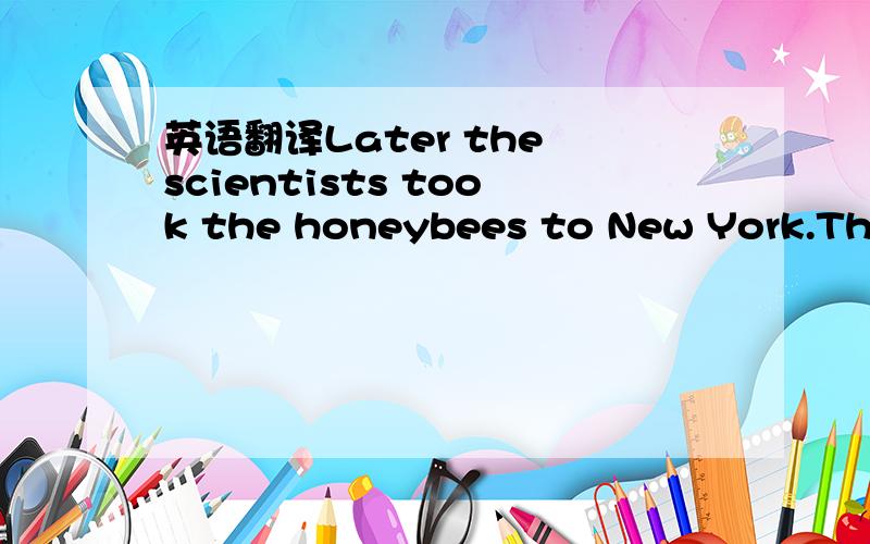 英语翻译Later the scientists took the honeybees to New York.The