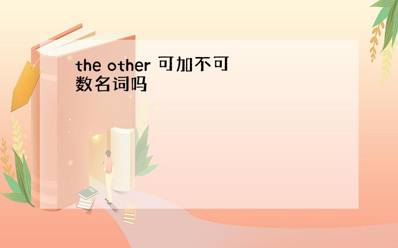 the other 可加不可数名词吗