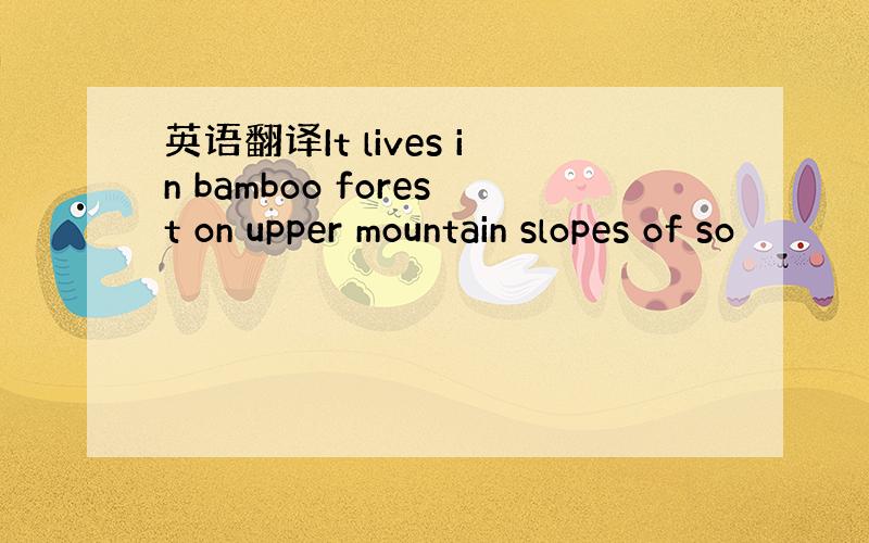 英语翻译It lives in bamboo forest on upper mountain slopes of so