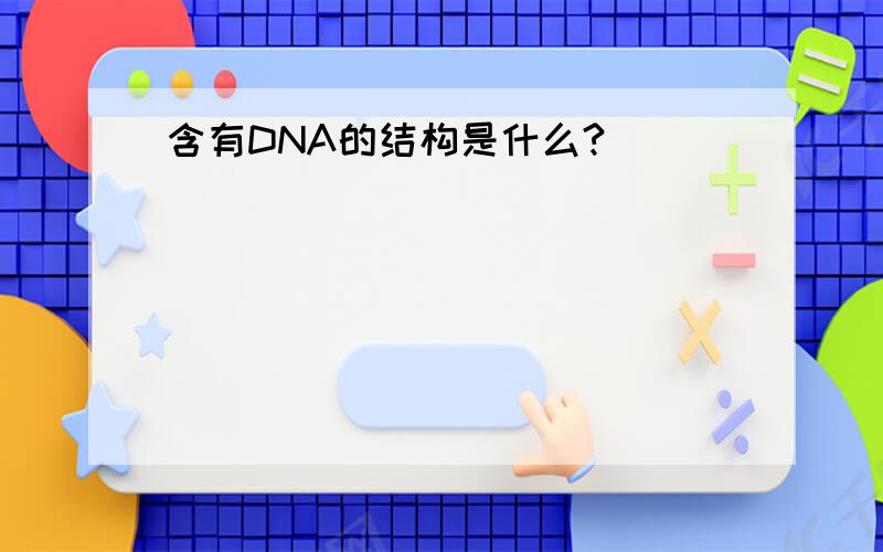 含有DNA的结构是什么?