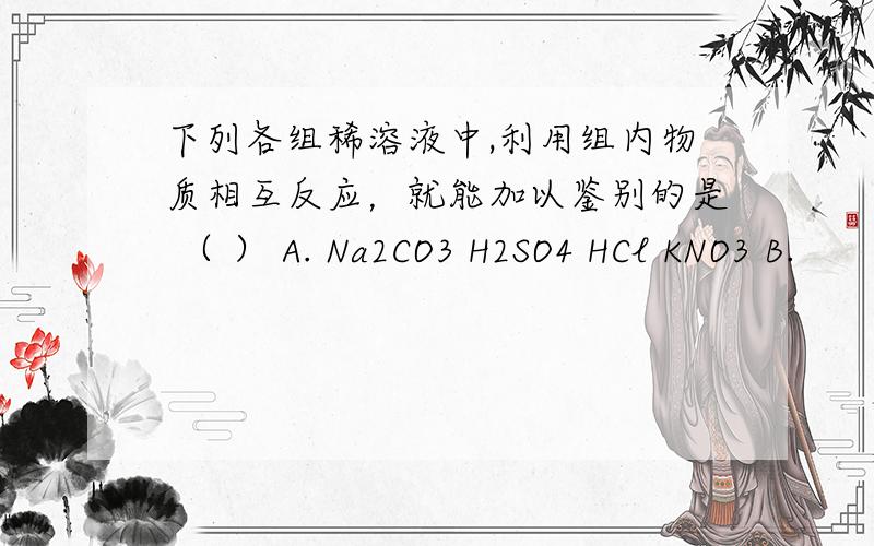下列各组稀溶液中,利用组内物质相互反应，就能加以鉴别的是 （ ） A. Na2CO3 H2SO4 HCl KNO3 B.