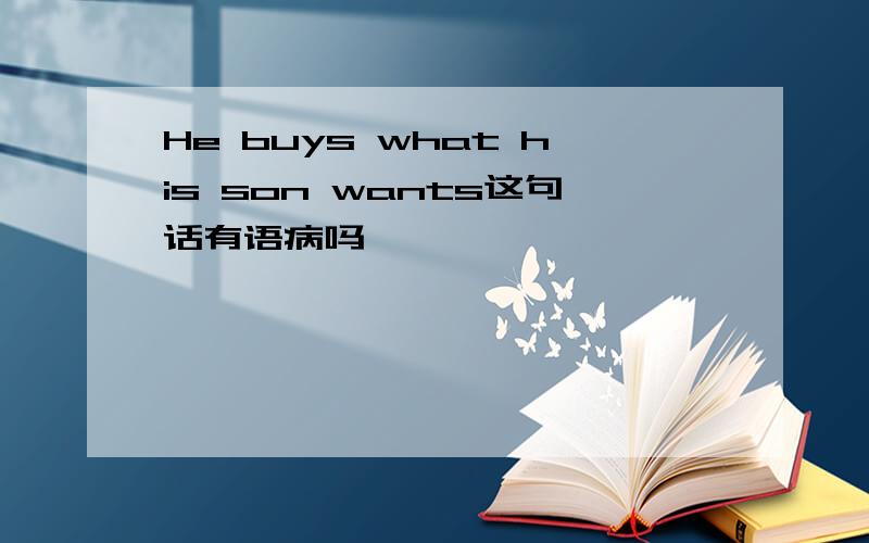 He buys what his son wants这句话有语病吗