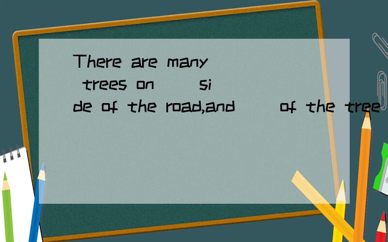 There are many trees on ()side of the road,and ()of the tree