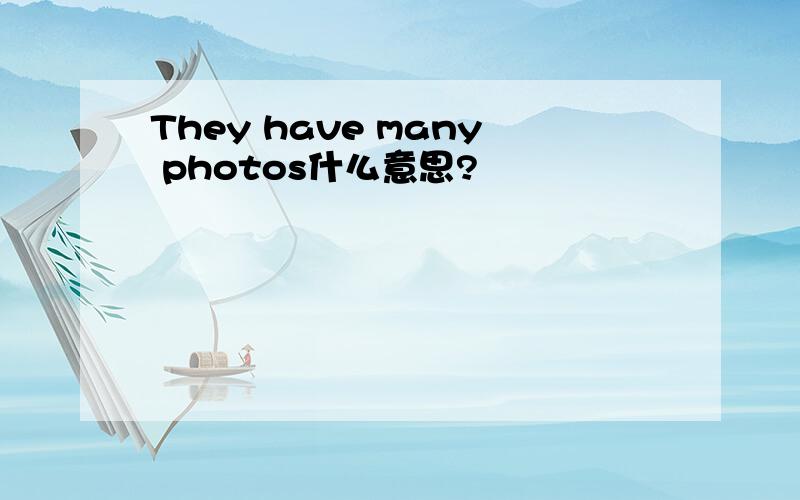 They have many photos什么意思?
